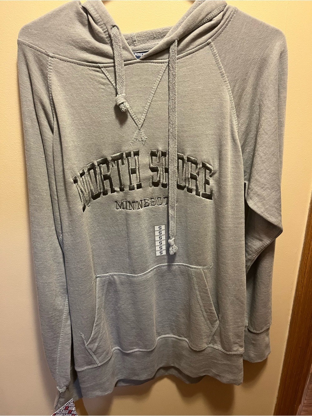 North Shore Minnesota Light Gray Hoodie Sweatshirt